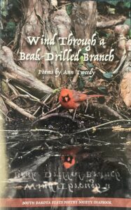cover a poetry chapbook called Wind Through a Beak-Drilled Branch